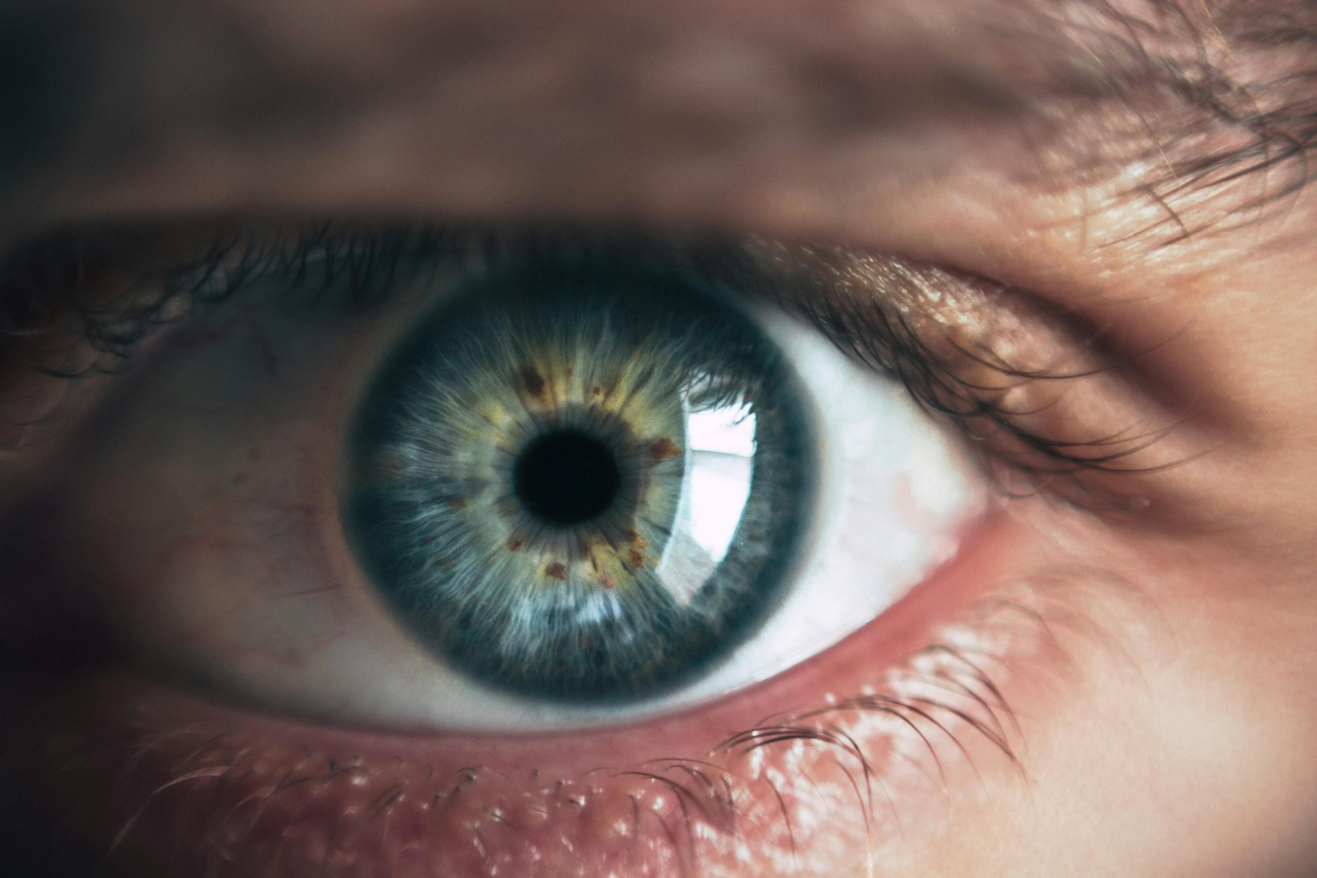Close up of one eye